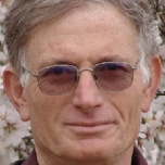 Adv. David Reichert